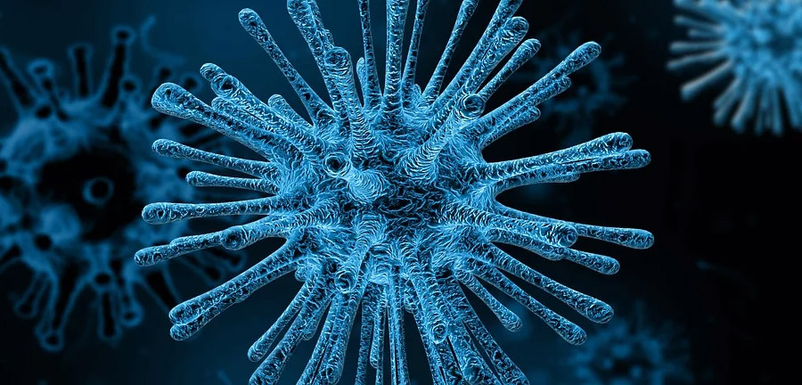 virus Coronavirus