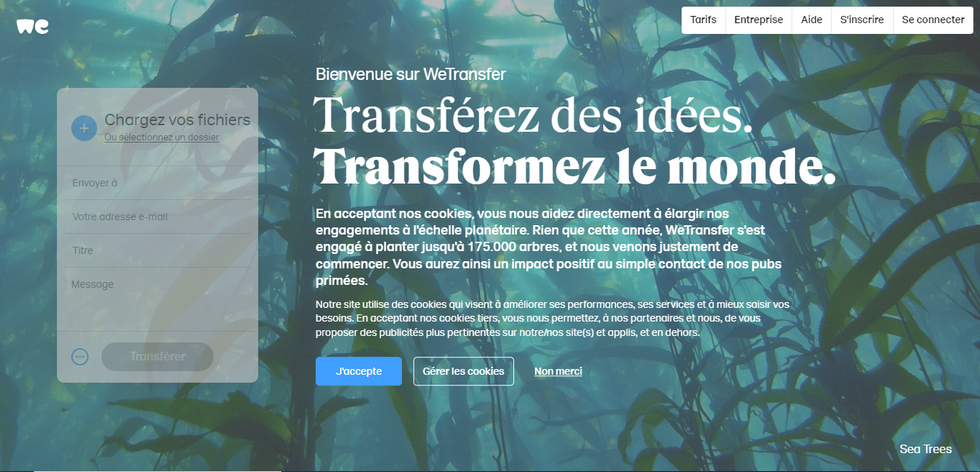 WeTransfer