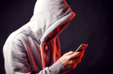 Les réflexes indispensables pour se prémunir contre les escrocs du web