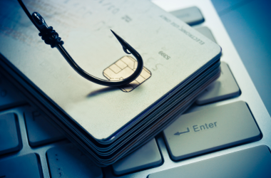 Phishing hameçonnage