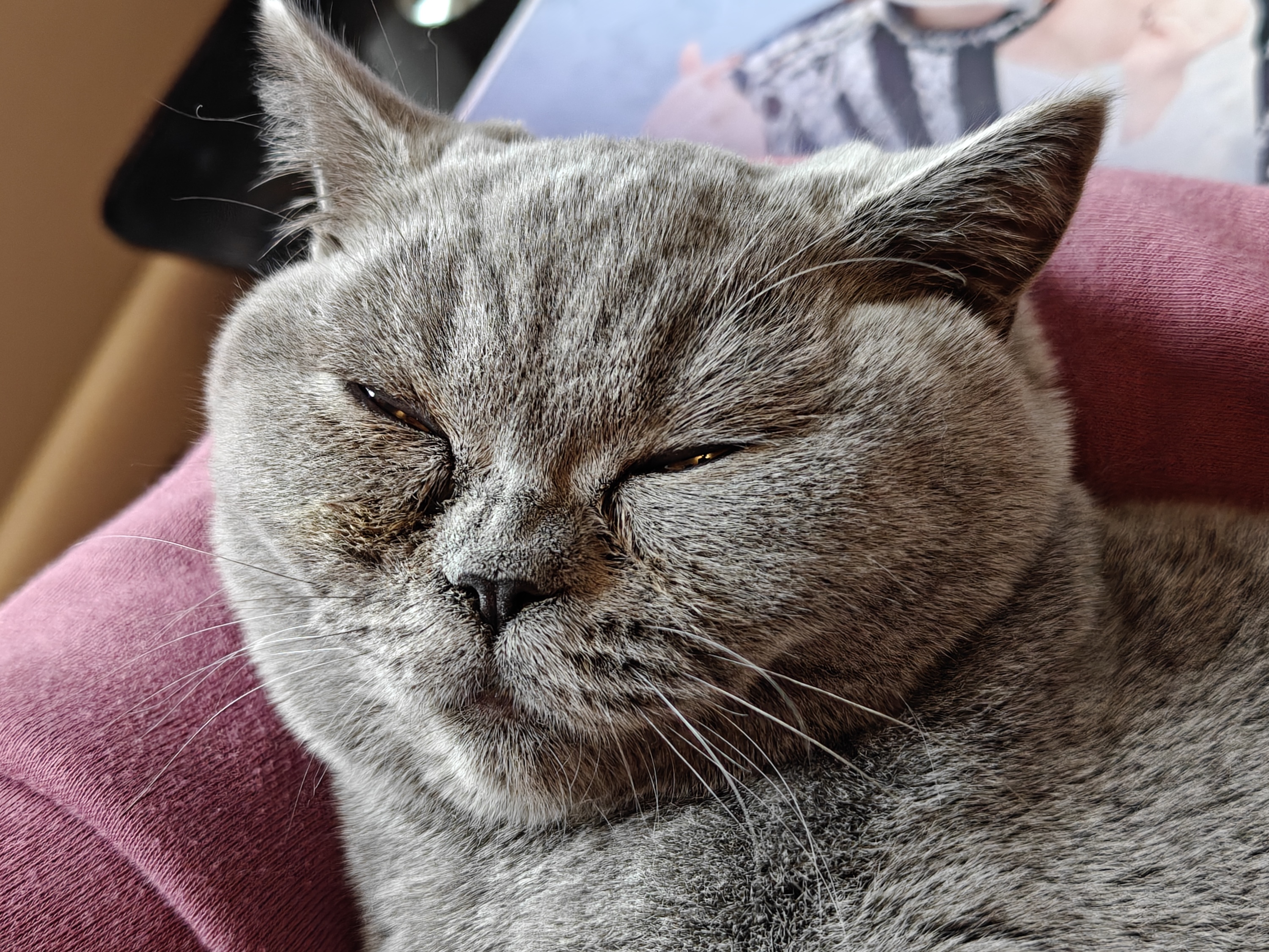 Une photo prise avec le mode portrait de OnePlus 13.