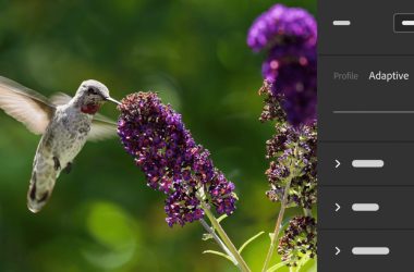 Adobe Lightroom et Camera Raw obtiennent deux nouvelles fonctionnalités d'édition d'IA