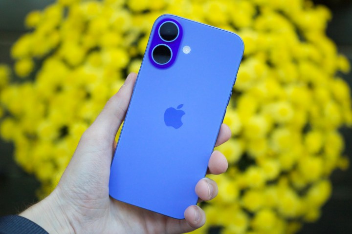 Quelqu'un tenant l'iPhone 16.