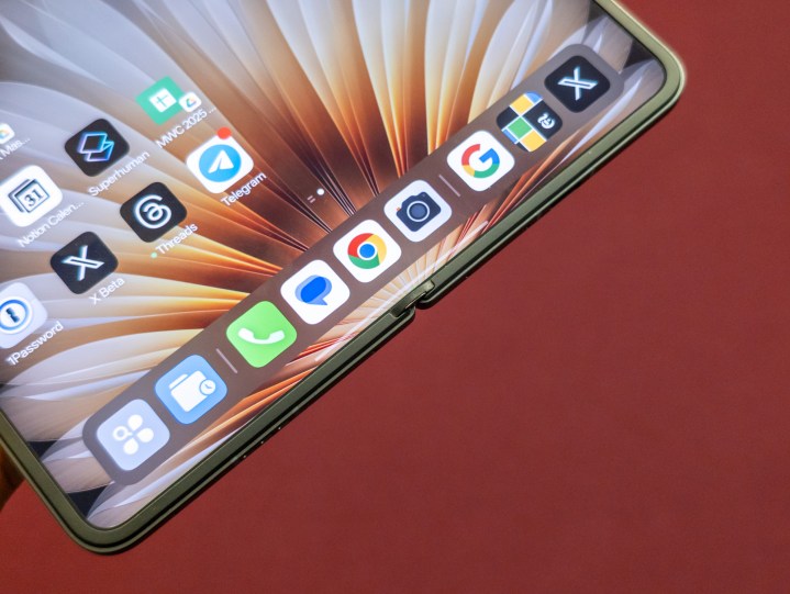 La clozel mince et le manque de pli sur l'opo trouvent n5