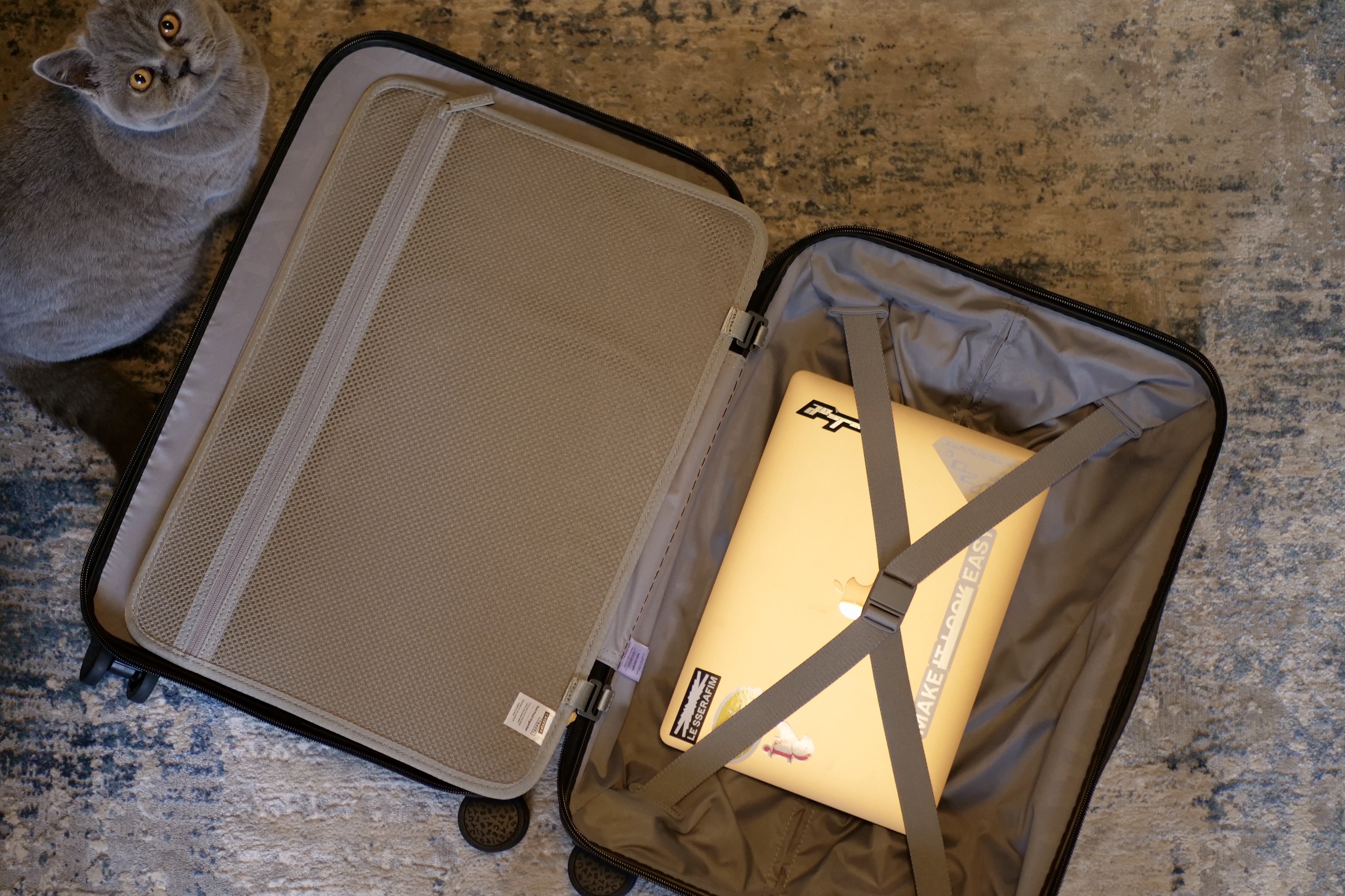 L'intérieur de la valise de bagage à main Casetify, avec un MacBook Air pour l'échelle.