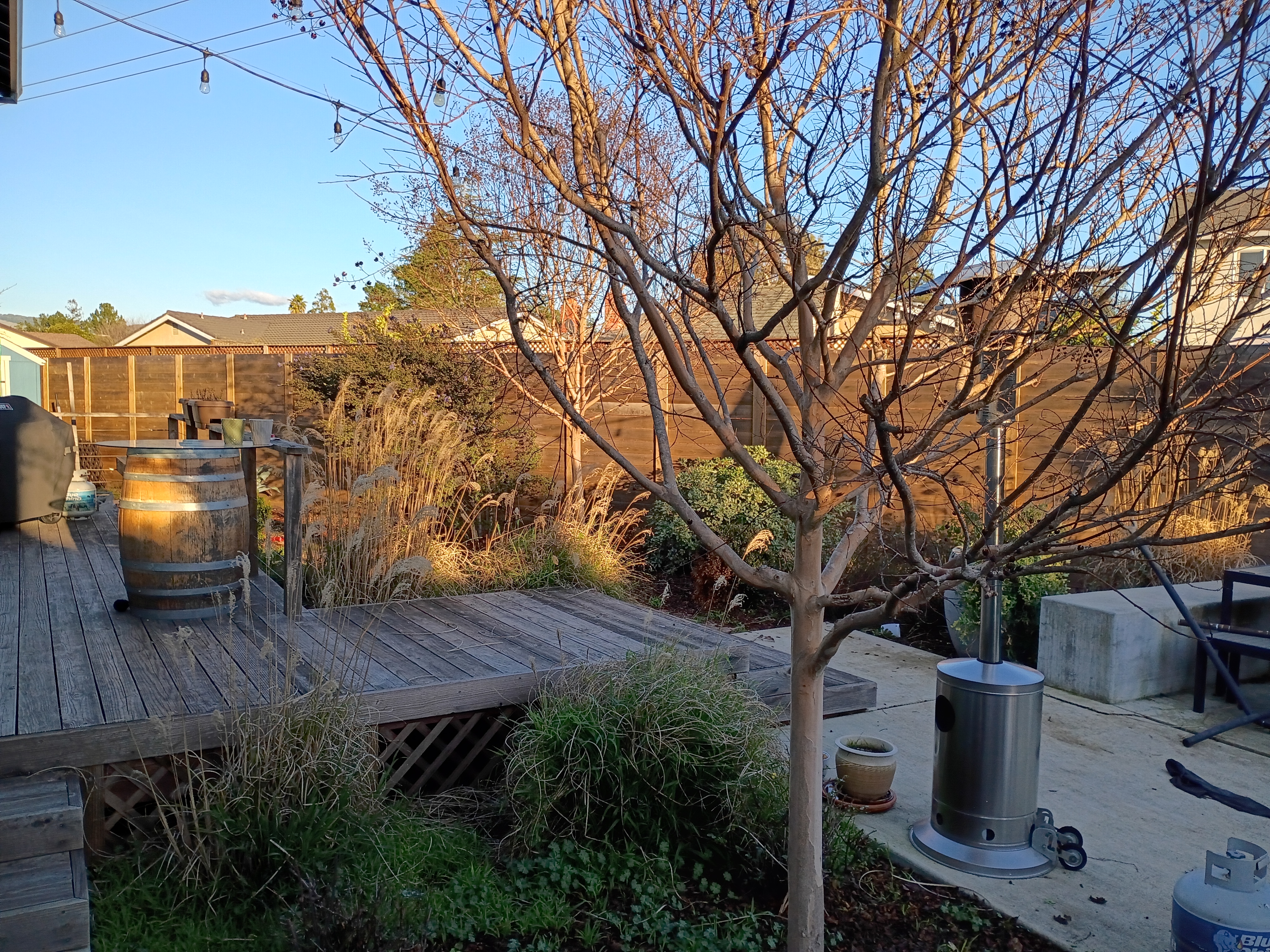 Motorola Moto G 2025 Revue IMG 20250205 163836455 HDR