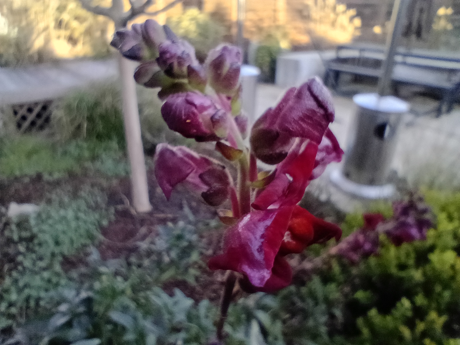 Motorola Moto G 2025 Revue IMG 20250205 163847277 HDR