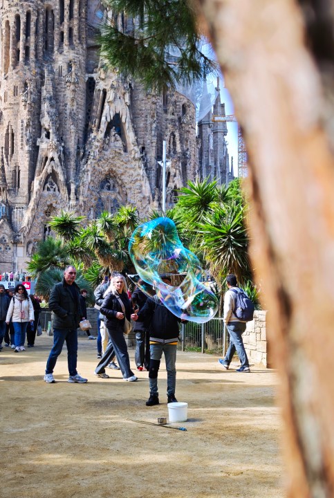 Une photo prise avec le Xiaomi 15 Ultra.