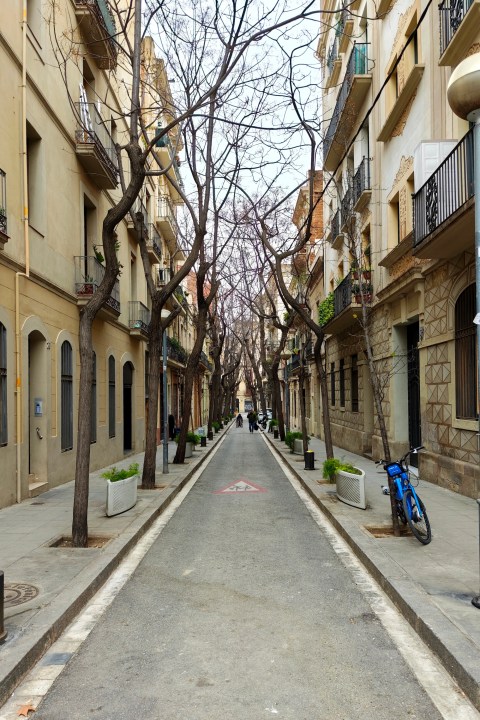 Une photo prise avec le Xiaomi 15 Ultra.