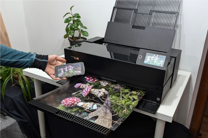 Tout ce que j'ai imprimé avec le Surecolor P900 est sorti avec une gamme impressionnante et des couleurs précises.