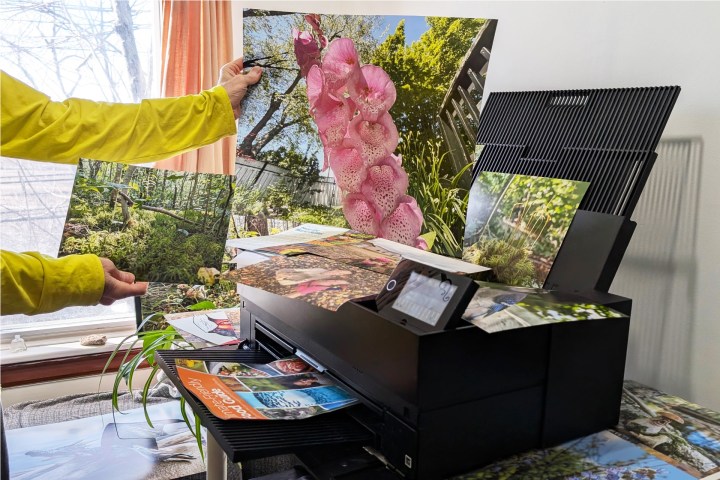 L'Epson Surecolor P900 imprime en qualité de laboratoire photo sur du papier d'art à différentes tailles.