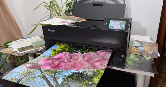 Epson Surecolor P900 Review: une imprimante du photographe avec des impressions de taille d'affiche