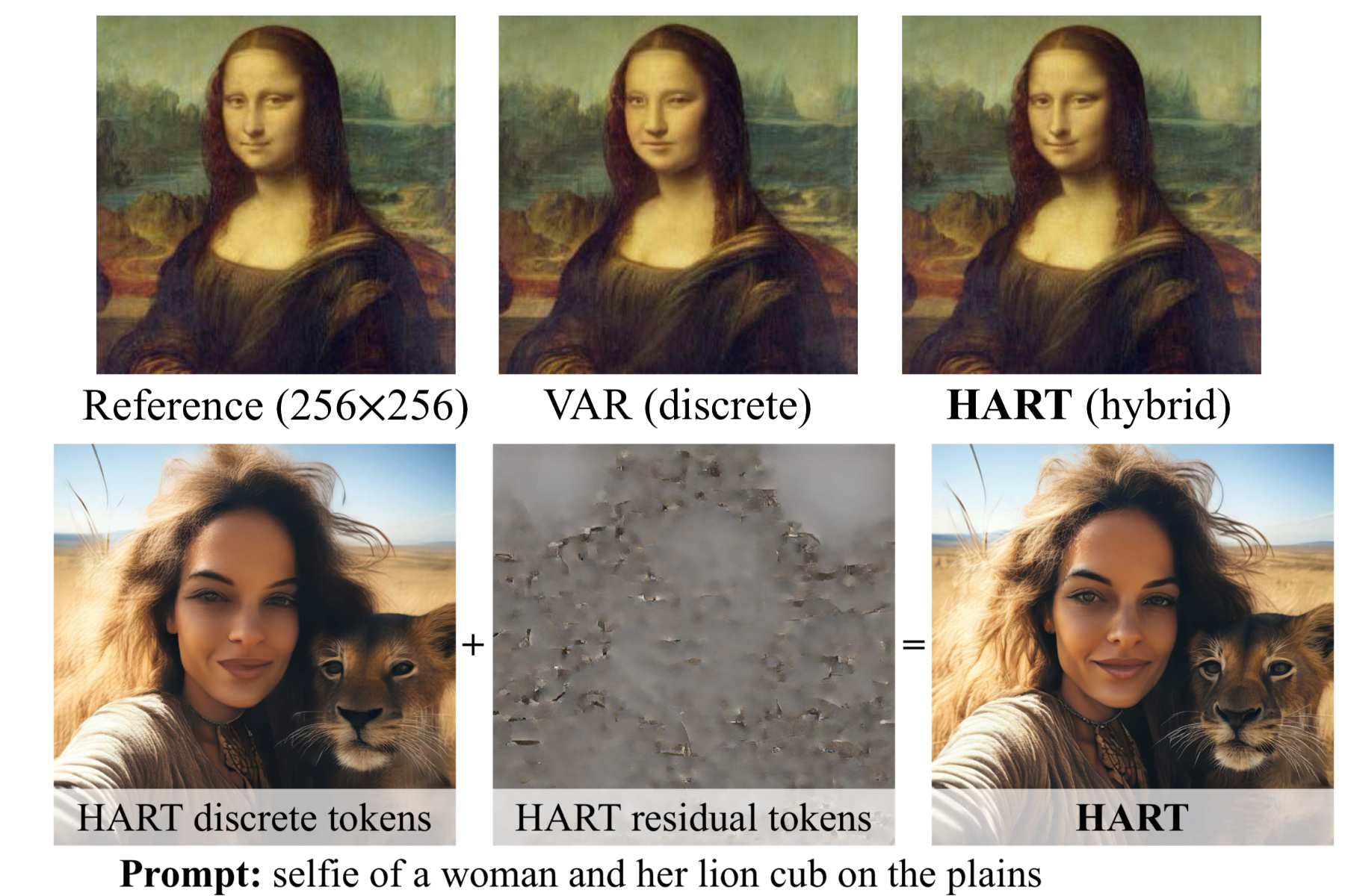 Évolution de la formation d'image pour Hart.