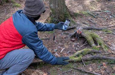 J'ai transformé un arbre moussuel en un monde 3D et je suis entré à l'intérieur avec ma quête 3