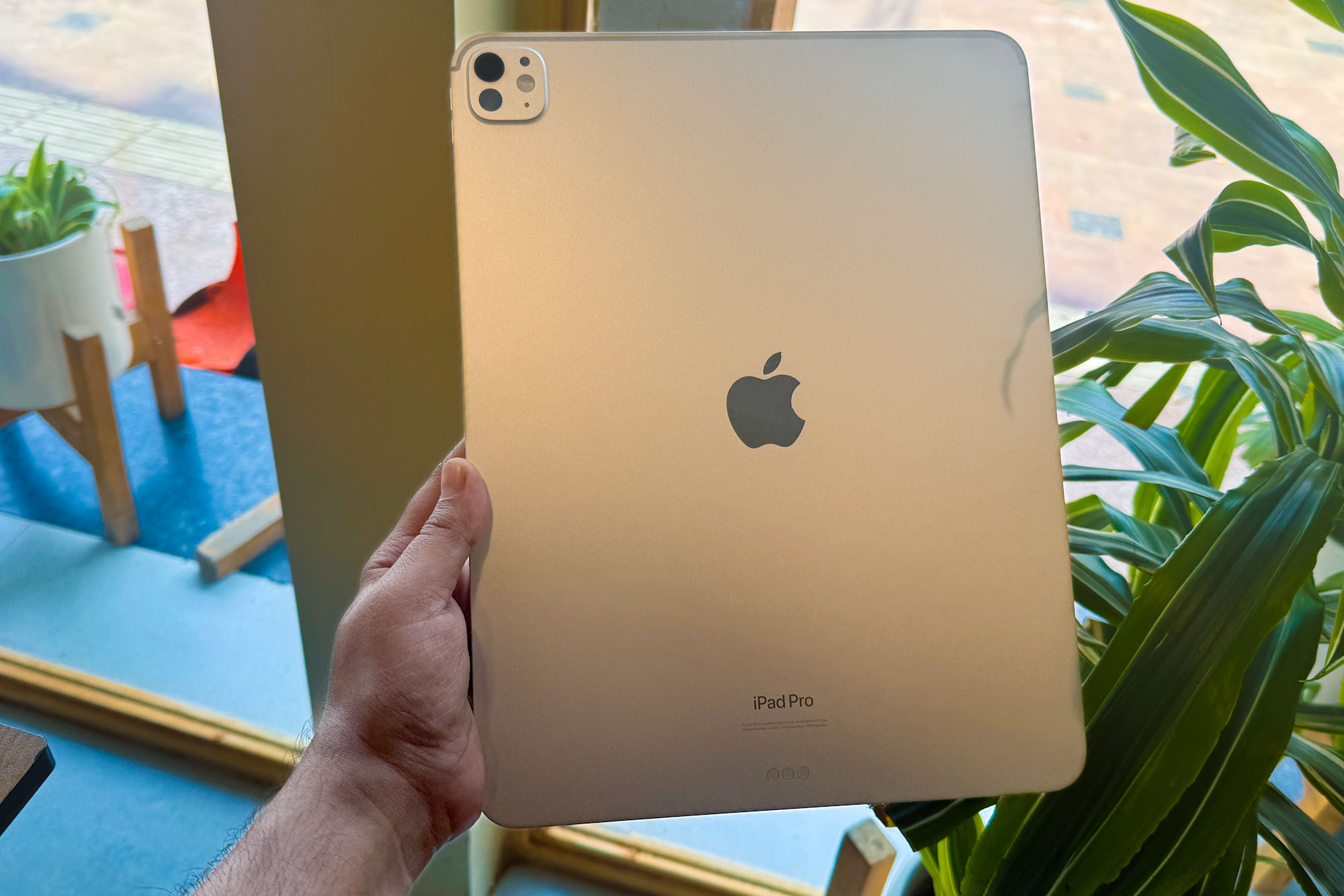 Personne tenant l'iPad Pro M4.
