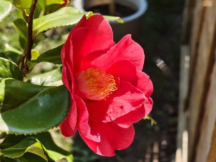 Une photo prise avec la caméra 3X du Nothing Phone 3A Pro.