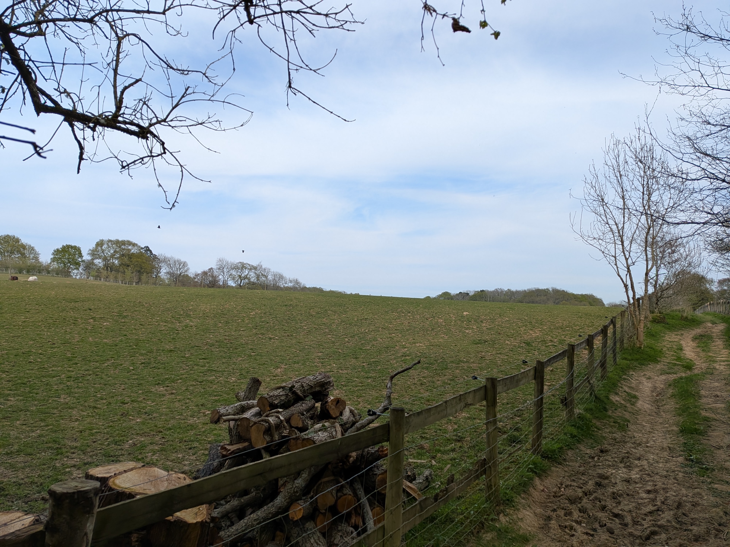 Une photo prise avec le Google Pixel 9A.