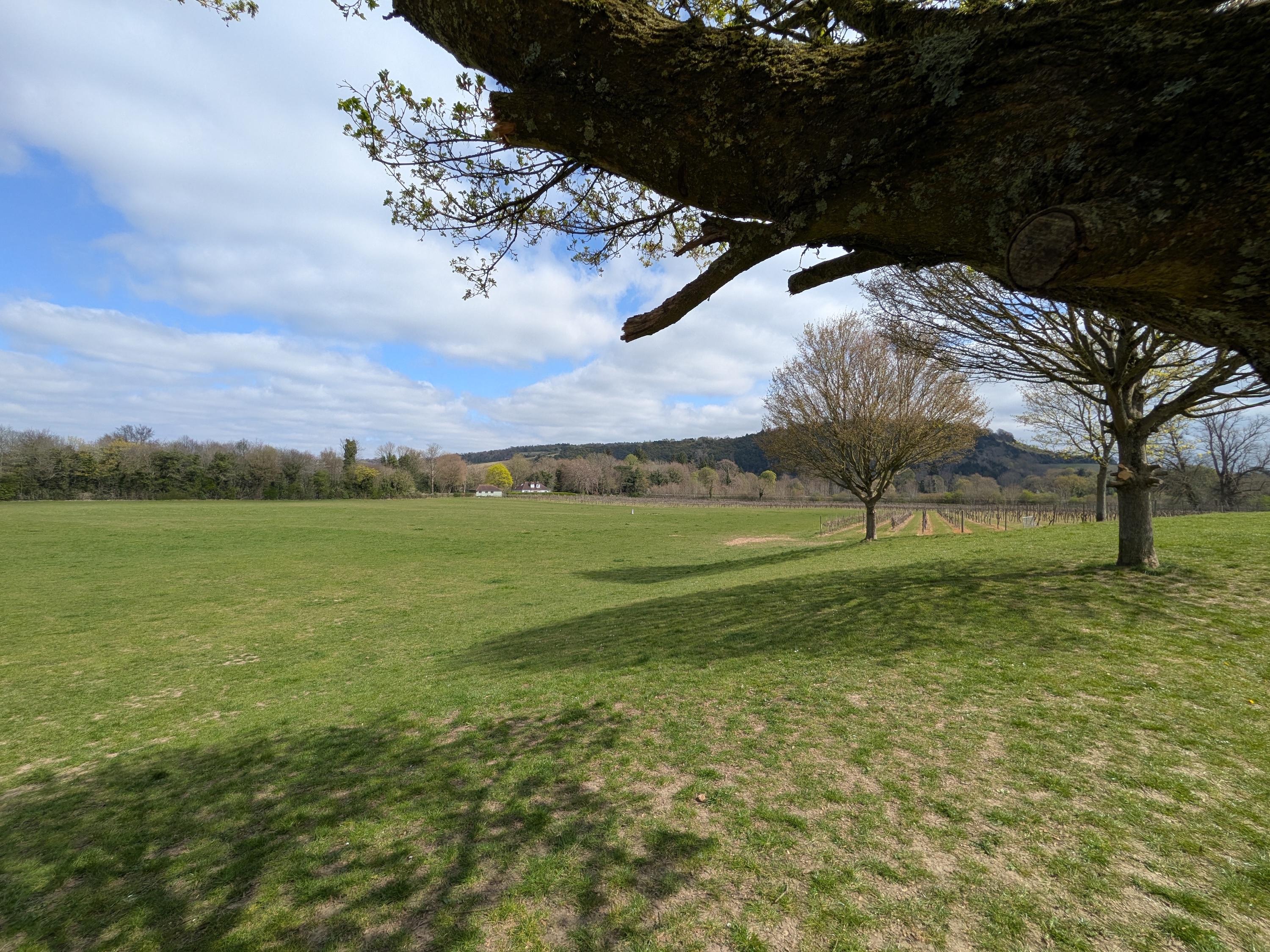 Une photo prise avec le Google Pixel 9A.