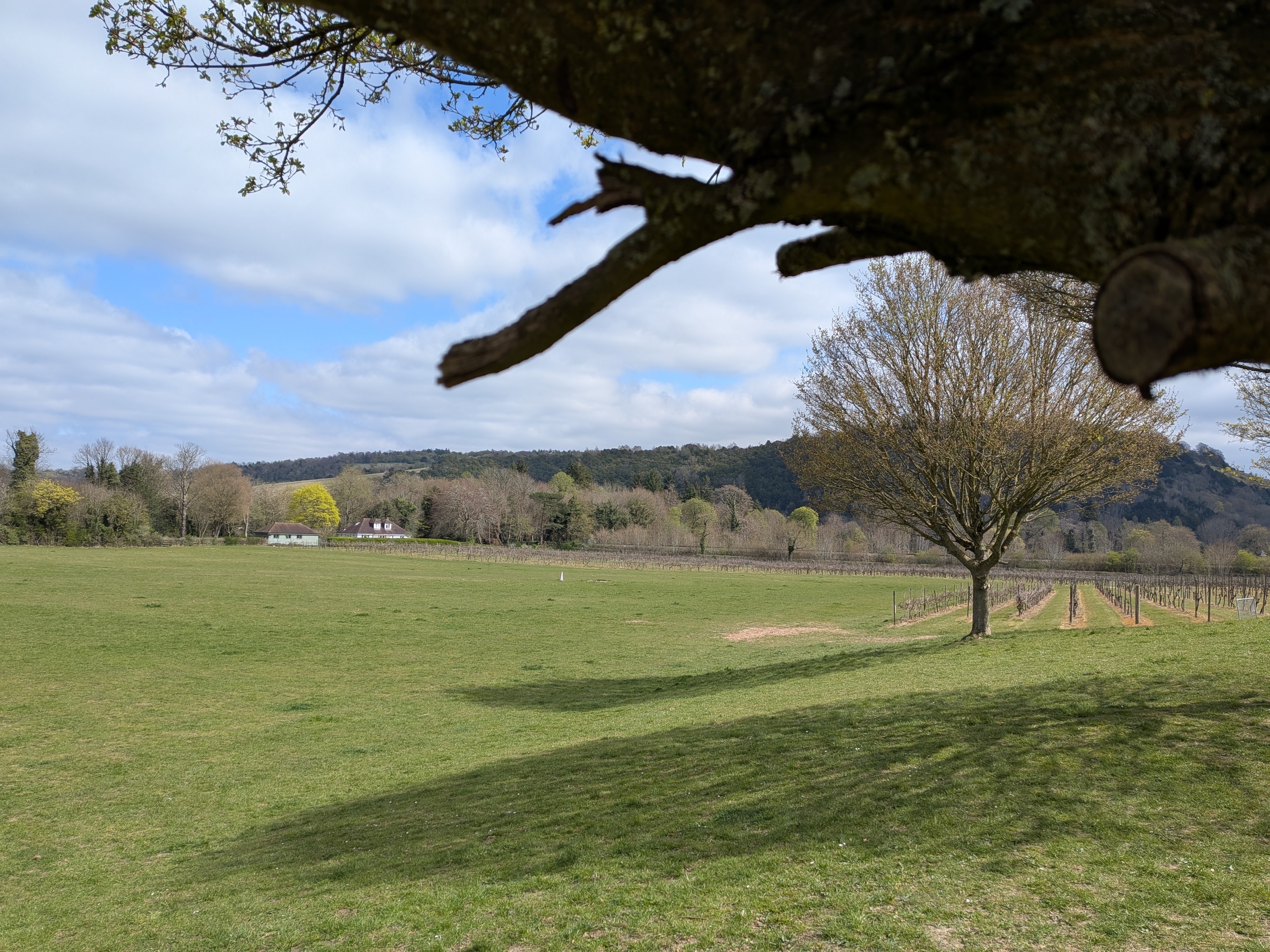 Une photo prise avec le Google Pixel 9A.