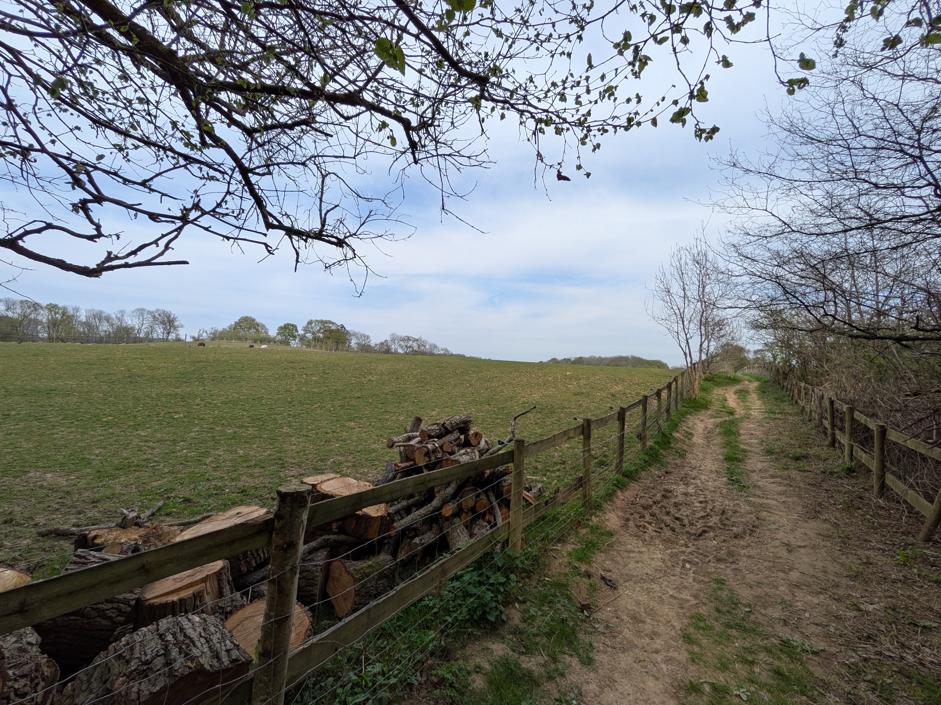 Une photo prise avec le Google Pixel 9A.