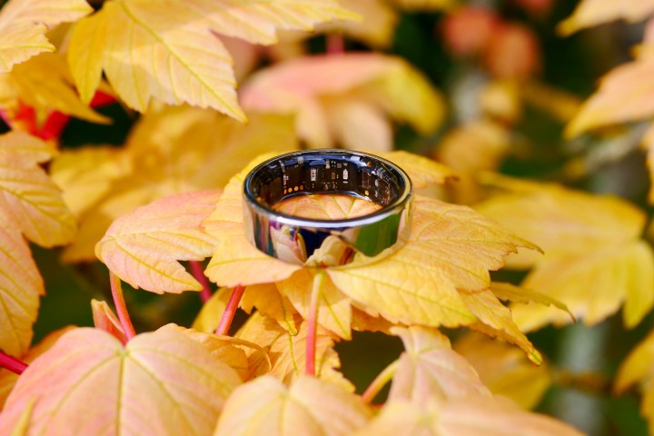 L'anneau de bruit Luna montrant son réseau de capteurs.