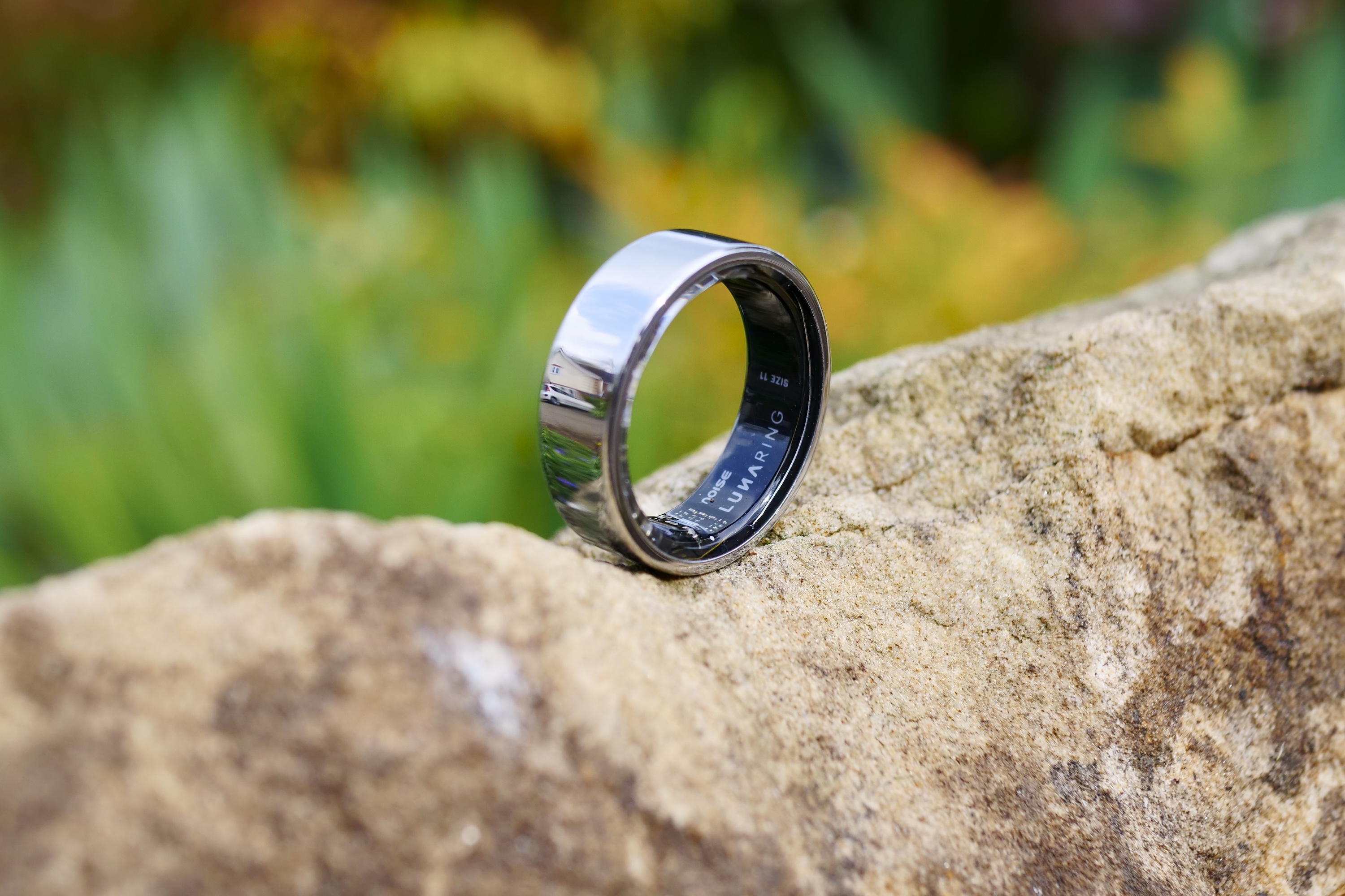 Le bruit Luna sonne sur un rocher.