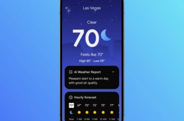 Le pollen vous a reniflement? Google Pixel Weather peut désormais aider à cela
