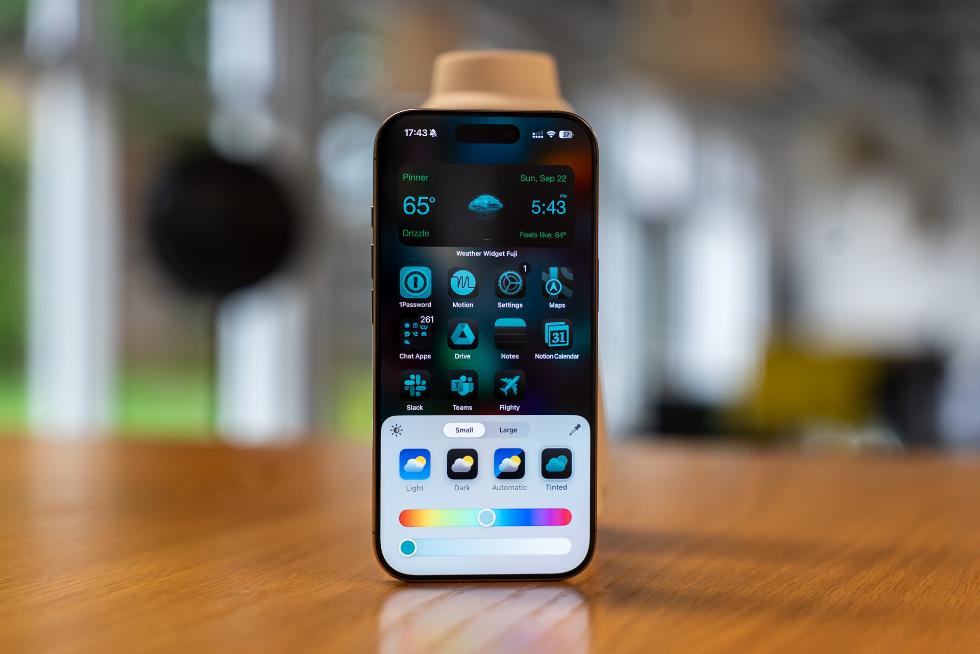 IOS 18 Options de teintes d'écran d'accueil sur l'iPhone 16 Pro