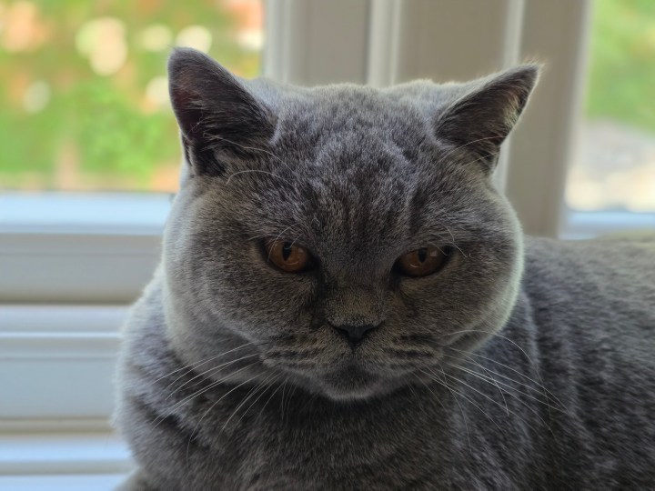 Une photo prise avec le mode portrait du Samsung Galaxy S25 Edge.