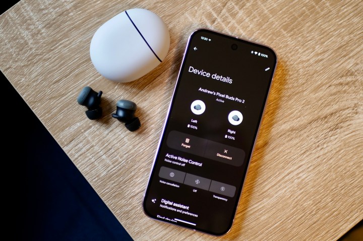 Le Google Pixel 9 Pro et Google Pixel Buds Pro 2.