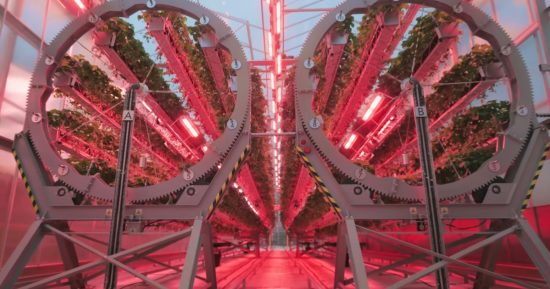 Ce dyson ne suce pas… il grandit