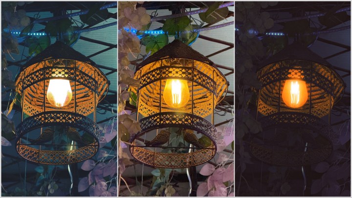 Comparaison de photos avec l'application VSCO Capture.