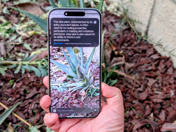 Utilisation de l'intelligence visuelle sur un iPhone 16 Pro montrant une réponse Chatgpt.