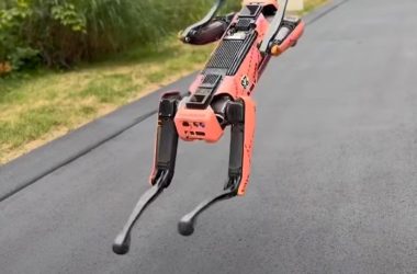 Regardez le robot chien de Boston Dynamics Go Full Gymnaste