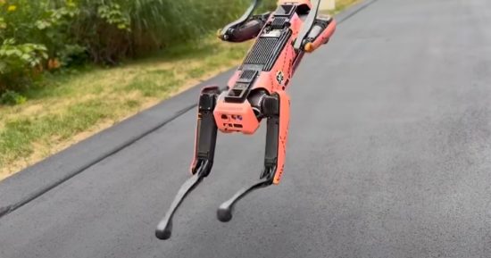 Regardez le robot chien de Boston Dynamics Go Full Gymnaste