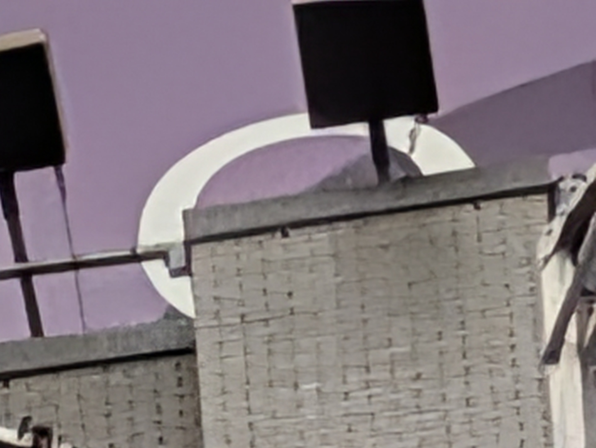 Échantillon d'appareil photo 100Z sur le pixel 10 Pro sans modifications AI