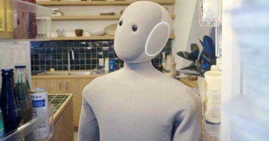 Vous pouvez désormais commander ce robot majordome, mais il y a quelque chose que vous devez savoir