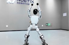 Ce joli robot peut divertir et éduquer pour le prix d'un téléphone phare