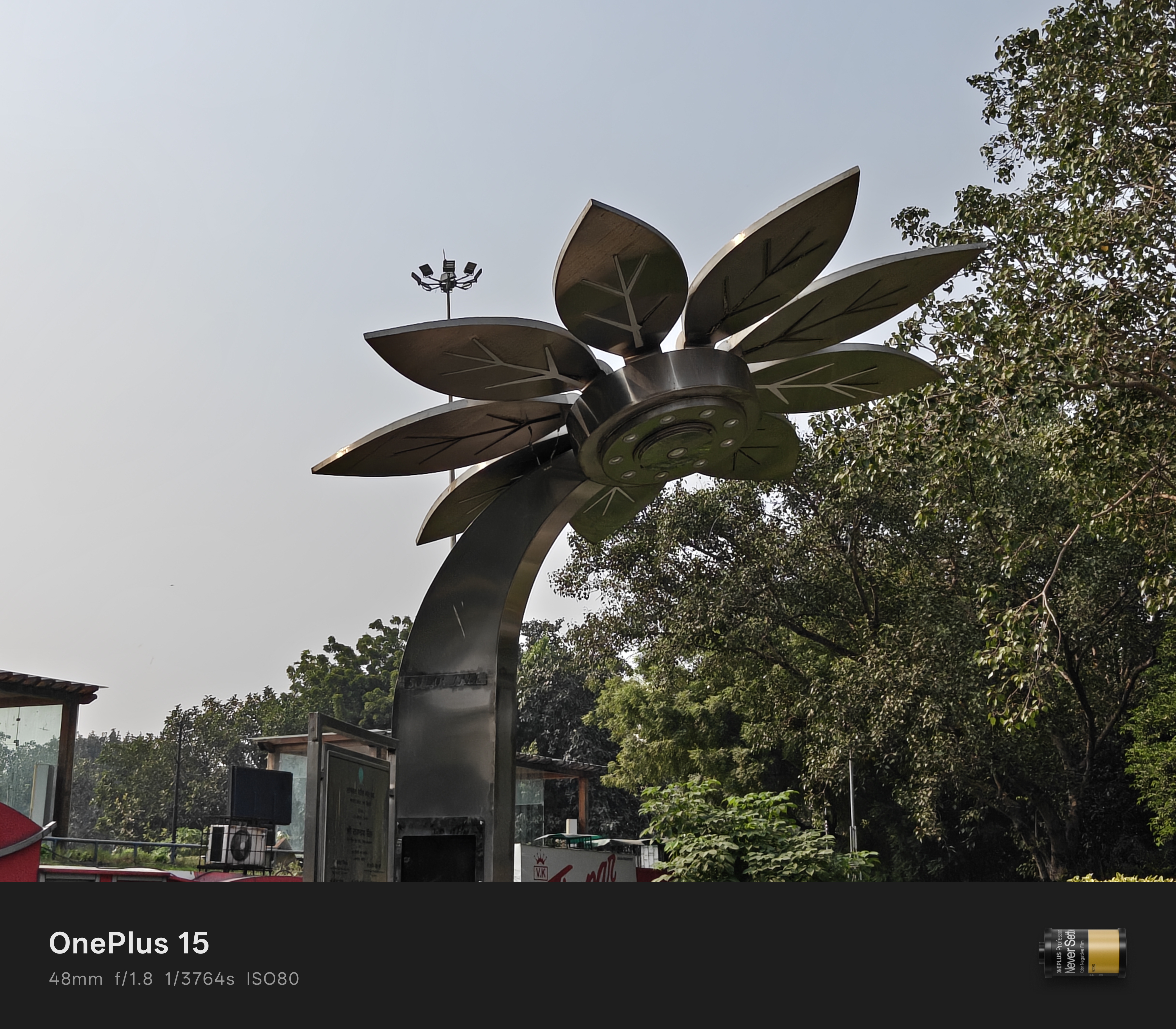 Échantillon de lumière du jour provenant de la caméra OnePlus 15 d'un arbre.