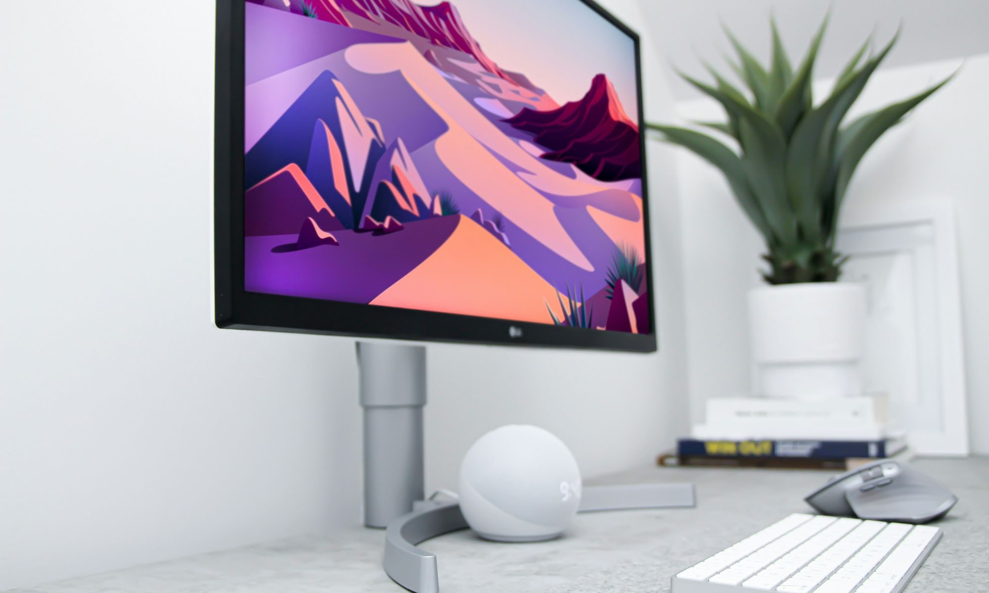 Moniteur LG