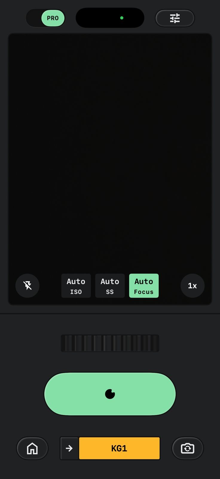 Capture d'écran iOS de la caméra Snapseed.