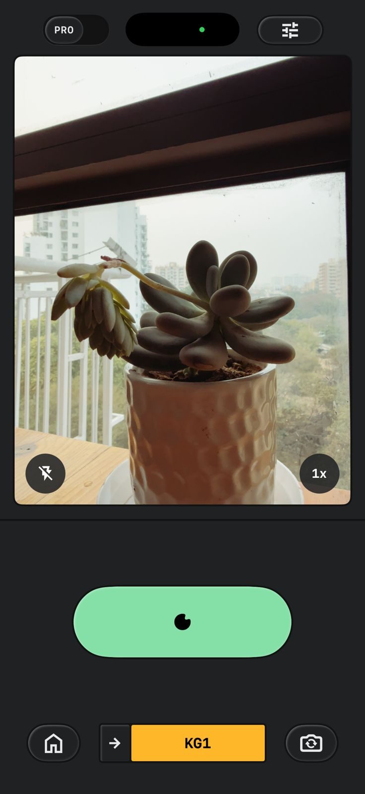 Capture d'écran iOS de la caméra Snapseed.