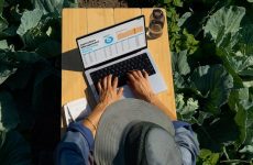 L’affichage « lumière du jour » : des écrans qui fonctionnent réellement au soleil