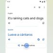 Google Translate peut enfin décoder « il pleut des chats et des chiens »