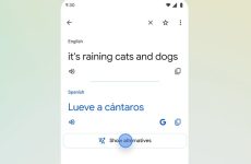 Google Translate peut enfin décoder « il pleut des chats et des chiens »