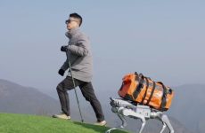 Rencontrez As2, un chien robot qui fonctionne sur piles et ne se frotte pas le ventre