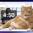 Cet outil Chrome permet à un chat potelé et roux de s'emparer de votre écran jusqu'à ce que vous fassiez une pause