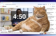 Cet outil Chrome permet à un chat potelé et roux de s'emparer de votre écran jusqu'à ce que vous fassiez une pause