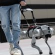 Ce chien robotique parle avec la magie ChatGPT et guide les malvoyants