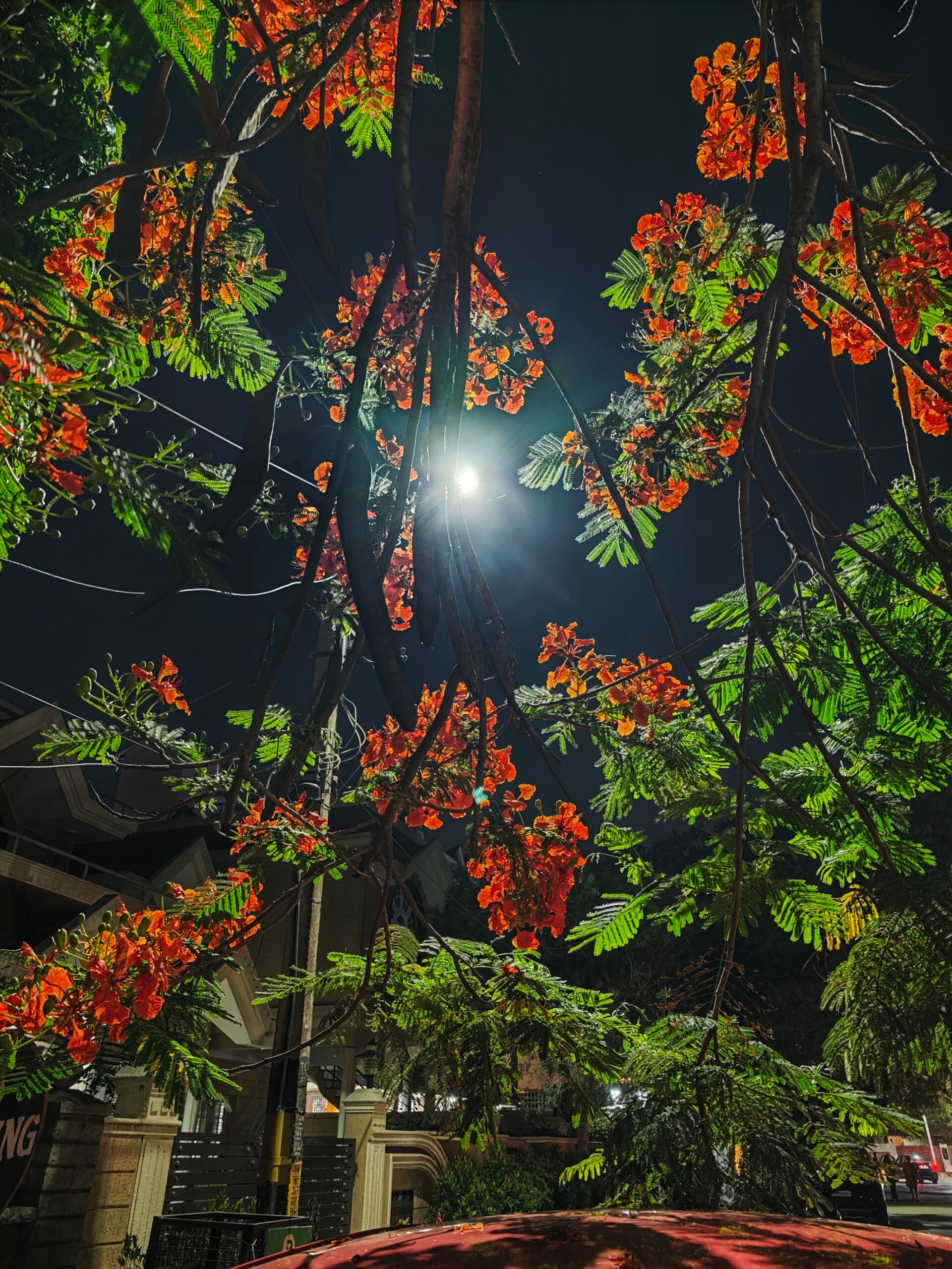 Lowlight (6) - Examen de la caméra Xiaomi 17 Ultra